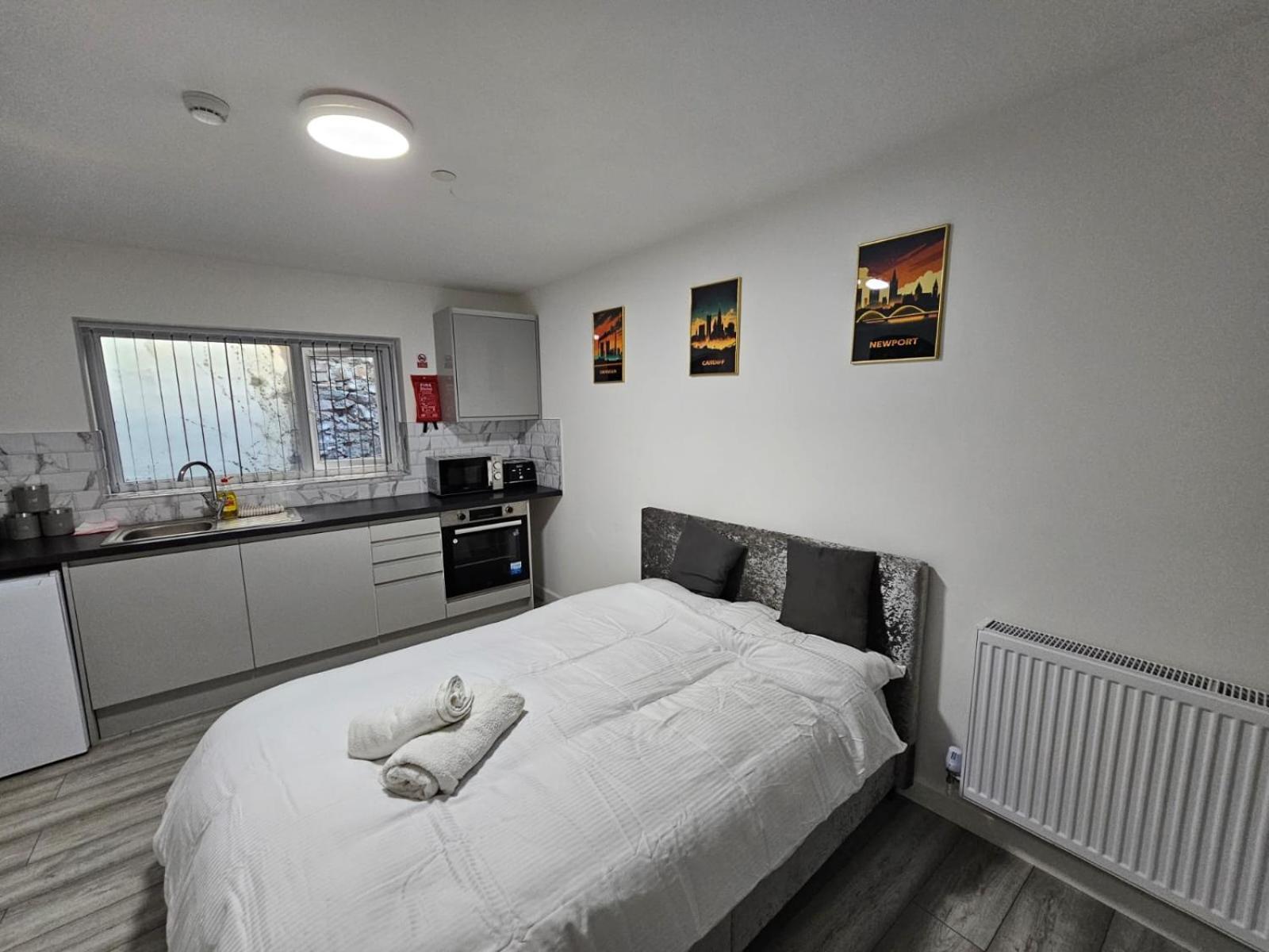 Cosy Cardiff Apartments - Garden Lounge Zewnętrze zdjęcie